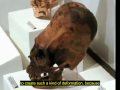 EN - Klaus Dona: The Hidden History of the Human Race