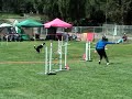 NADAC Elite Chances with a Bonus Box
