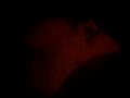 ca dort pas mal sur le canap� et mr lecl�re torture cette pauvre personne fatigu�e...