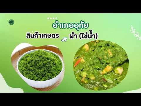 โครงการเกษตรมูลค่าสูงอยุธยา ปี 2567