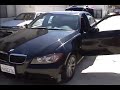 My BeAmer or Bimmer My BeAmer or Bimmer