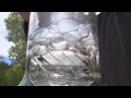 tokin daily: the mobius reti bubbler