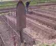 Tools needed for a Mittleider garden
