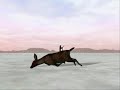 Deer Hunter 10/29/08 Deer Hunter 10/29/08
