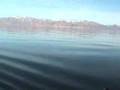 Brandon Catching Pyramid Lake Cutthroat