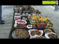 hallan enterrado arsenal en narco rancho de palenque