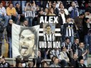 Del Piero, Compleanno da urlo. Del Piero, Compleanno da urlo.