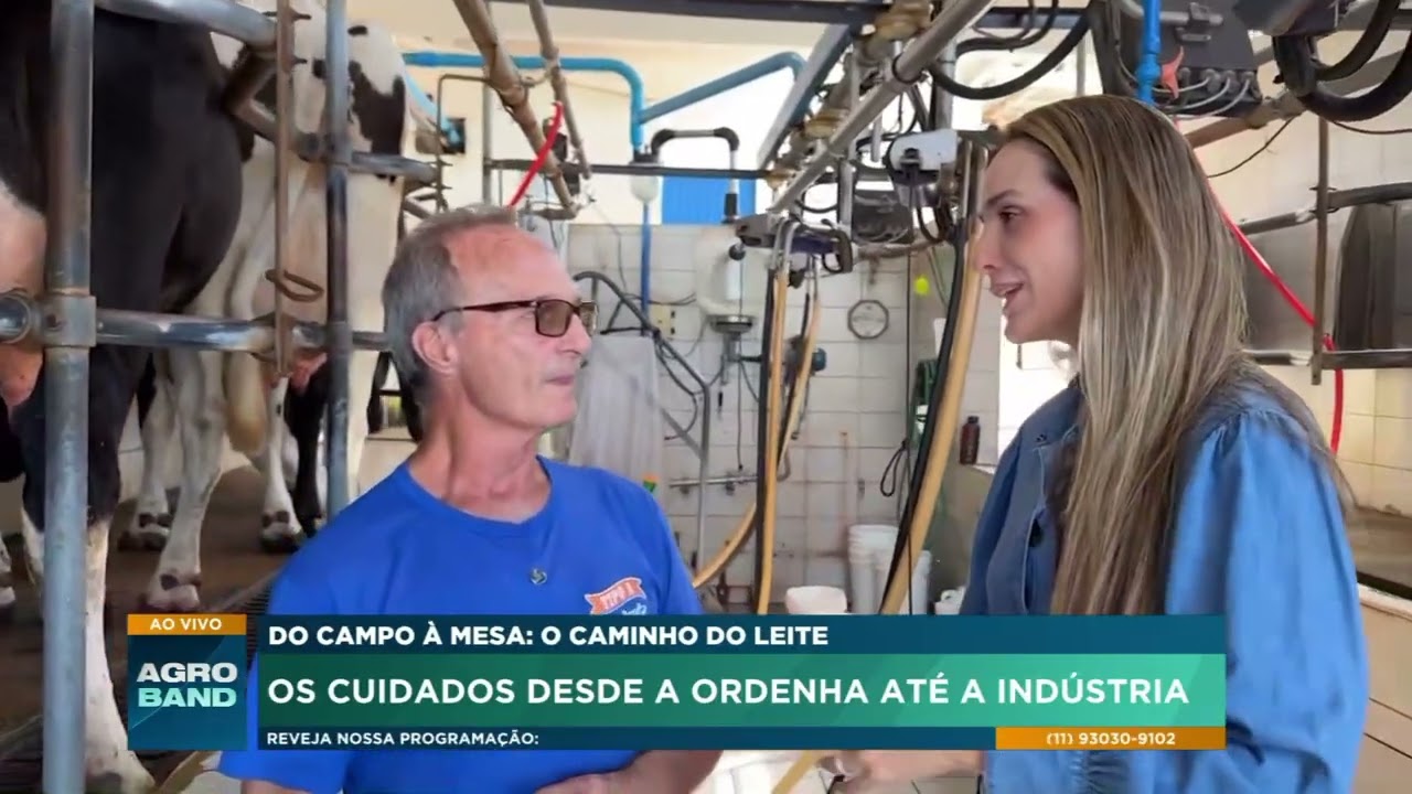 Do campo à mesa: os cuidados desde a ordenha até a indústria