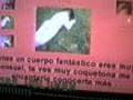 wena naty en 24 horas!