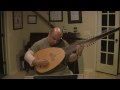 Ceccona by Zamboni for Archlute