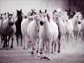 Aprender a volar (video casero)