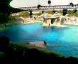 parco oltremare riccione delfini