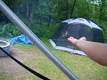 hand feeding hummingbirds