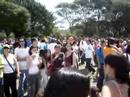 Lenine e Vanessa da Matta no Ibirapuera Lenine e Vanessa da Matta no Ibirapuera