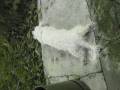 videos de BUBI AND VENDI_0001.wmv
