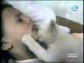 planets funniest animal funny dog lizard cat video