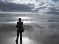 Scorpions - Life\