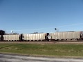 BNSF 8864, 5977, & dpu's 6086, 9369, 5756.MPG