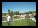 First Vid