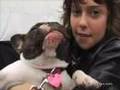 videos de Nat Wolff With His Dog E.T