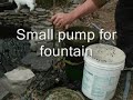 I break down my Winter Bio- Filter system with fountain so I can set up for warm weather. Even Kamo Pup likes this one.