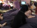 videos de 5 Pups & A Winter Nap!