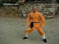 Trenat shaolin