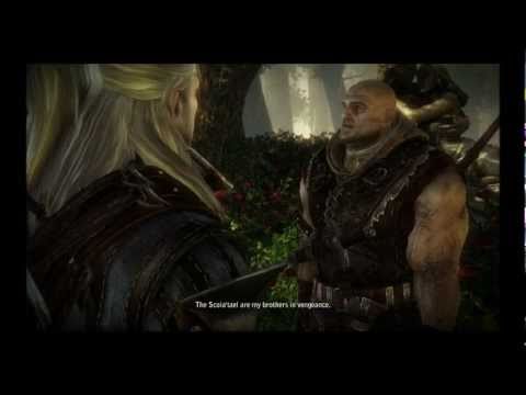 The Witcher 2 : Assassins of Kings