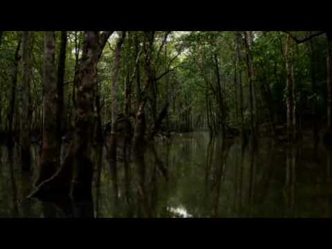 The Earth's breath/ A Terra respira/ LaTierraRespira
