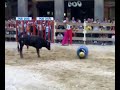 FIESTAS GALLUR SAN ANTONIO/08