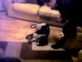 OMG, Wake Up, Please!