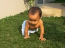 Mahesa