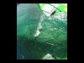 Shreding the Bahamas! - 12-16