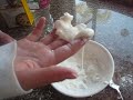 Corn Starch and Water Experiment