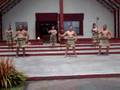New Zealand Maori Culture - Ritual/Ceremony Pt. 2