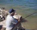 pesca