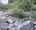 pesca