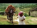 himno-de-honduras-marimba.html