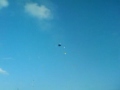 videos de M-80 taped to balloons