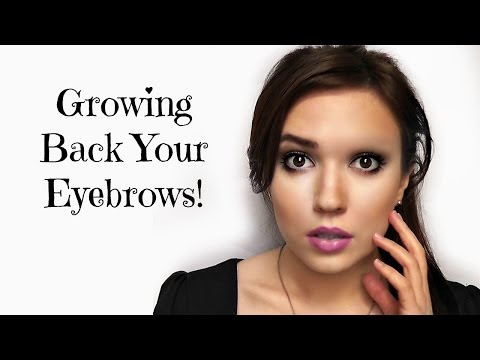 how to grow eyebrows out