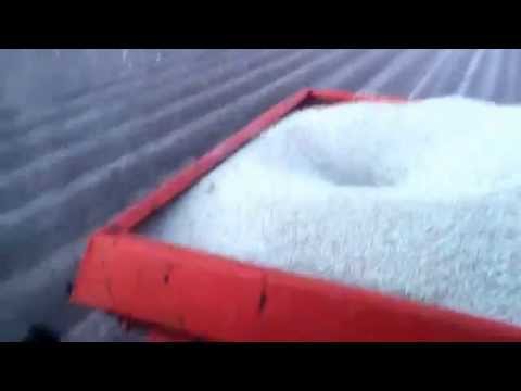 how to fertilize peonies