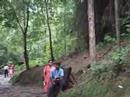 Falls - Athirampalli Falls - Athirampalli