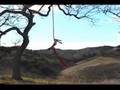 Aerial Silks