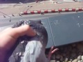 Голубь засрал балкон.