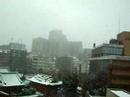 snowing in Tokyo!