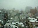 snowing in Tokyo!