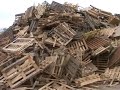 Cassop Primary School, UK, Sustainable energy in schools