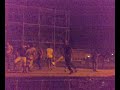 Manfredonia....Tarantella dei crociati...