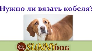 Если кобеля не вязать Если кобеля не вязать