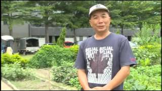 103年安平區國平社區《林志忠-社區休閒農場經驗分享》